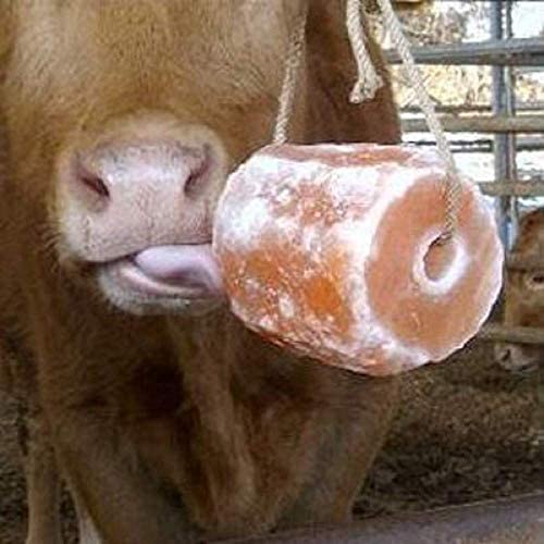 Himalayan Rock Salt Animal Licks 2 kg