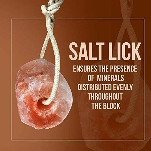 Himalayan Rock Salt Animal Licks 2 kg - Image 5