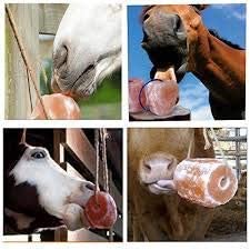 Himalayan Rock Salt Animal Licks 2 kg - Image 6