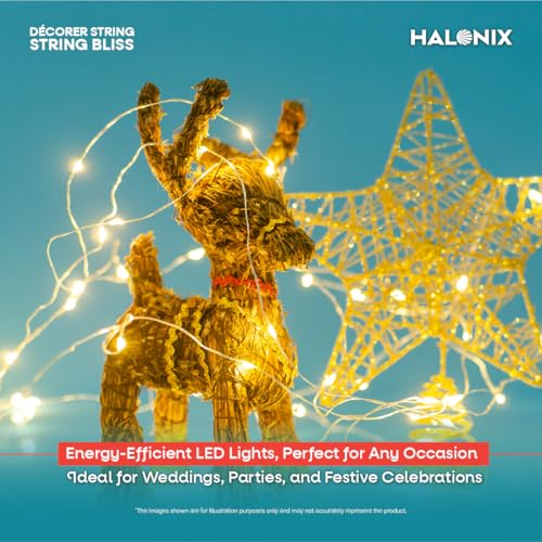 Halonix Bliss Rice Light