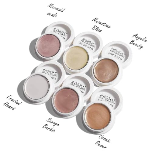 INSIGHT Highlighter for Face &