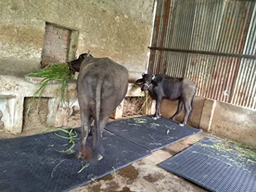 DIVAYANSHI Animal Feeding Waterproof mat