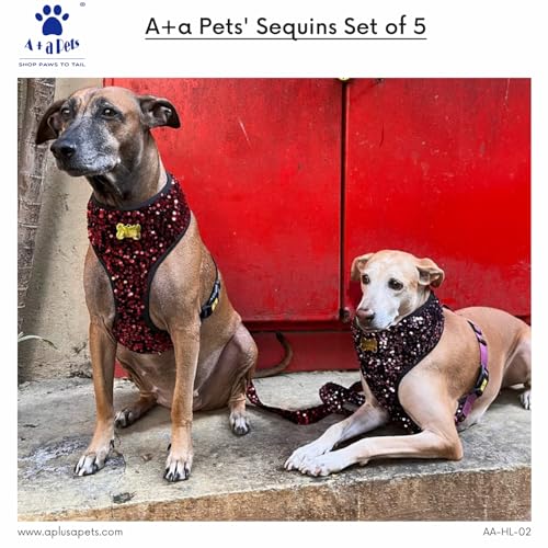 A+a Pets' Sequins Set