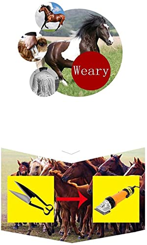 DeReliable Unisex 850W Horse Electric
