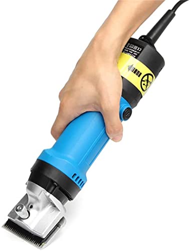 DeReliable Unisex 850W Horse Electric