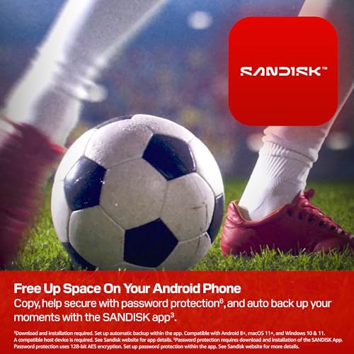 SANDISK USB Type-C Flash Drive