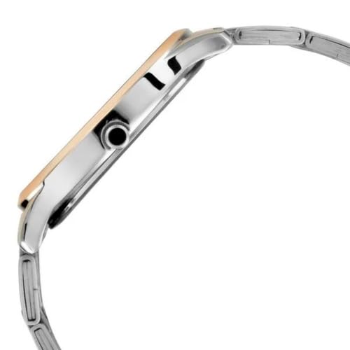 Titan Karishma Quartz Analog