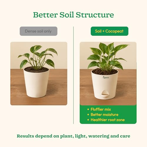 Ugaoo Cocopeat Block 5 Kg
