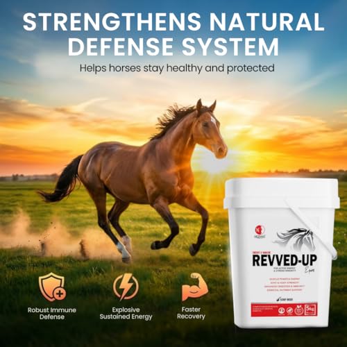 Revved UP for Strong Immunity and Energy in Horses (1 KG) - Image 3