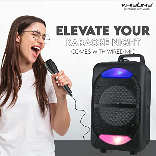 Krisons Beatz with FM,USB,Aux