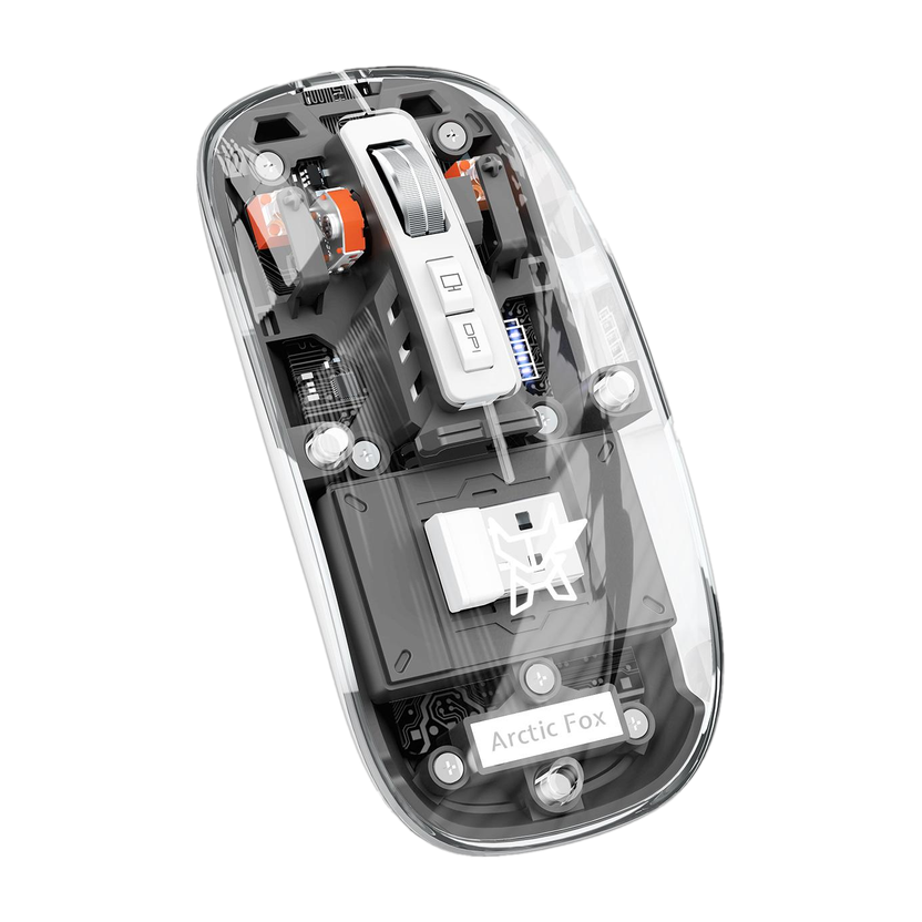 Portronics Toad 6 Ambidextrous Optical