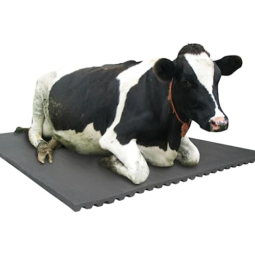 Dhara Animal Feeding Waterproof Rubber