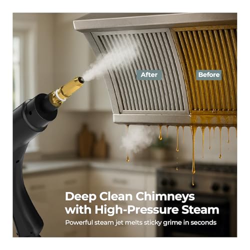 Lifelong Portable Steam Cleaner