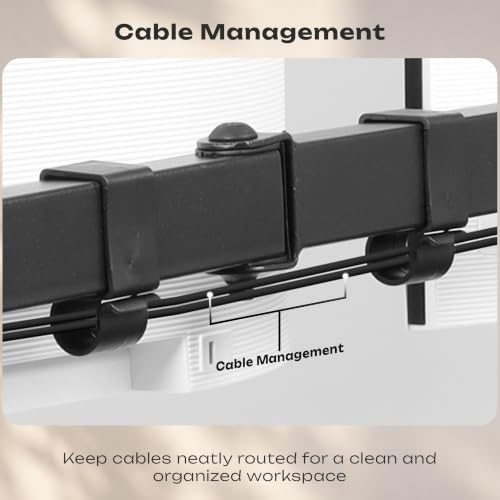 Zebronics DMS700 Dual Monitor Arms