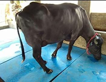 M.R.F Cow mat Waterproof Cow