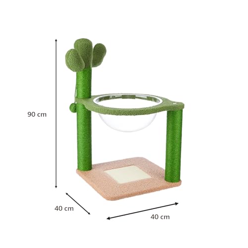 Amazon Basics Premium Imported Cactus