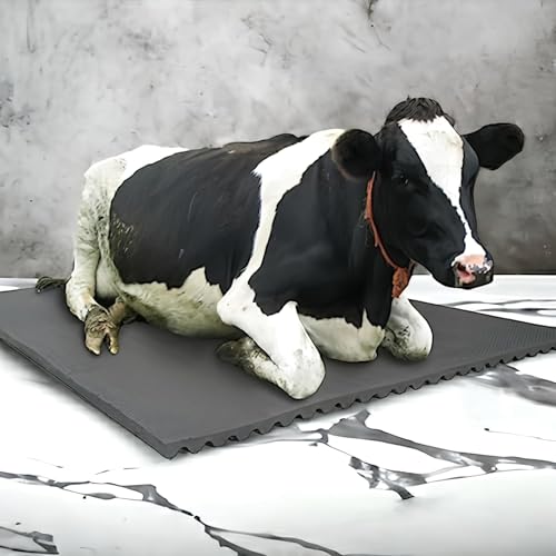 DIVAYANSHI Waterproof Cow mat, BPA