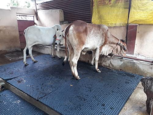DIVAYANSHI Waterproof Cow mat, BPA