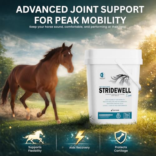 StrideWell Equine - Advanced Supplement
