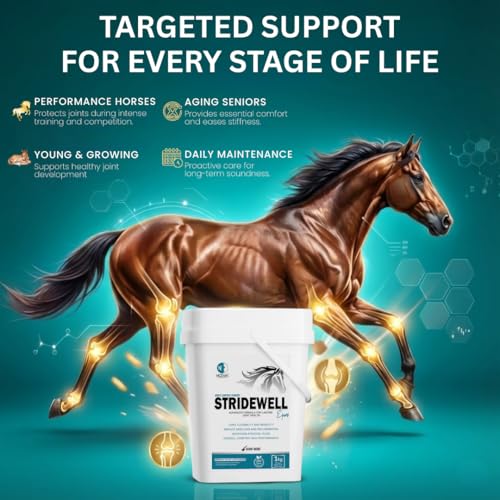 StrideWell Equine - Advanced Supplement