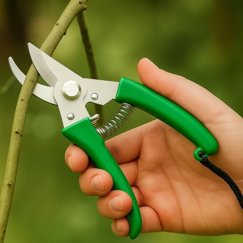 Kraft Seeds Plant Cutter