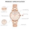 Daniel Klein Stainless Steel Analog