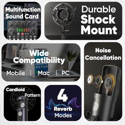 DIGIMORE Condenser Mic for Singing
