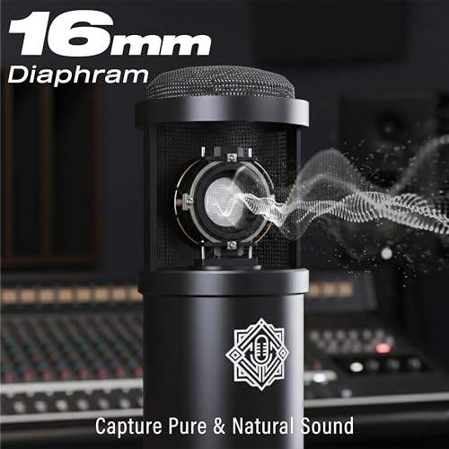DIGIMORE Condenser Mic for Singing