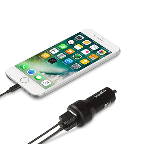 AmazonBasics 4.8 Amp/24W Dual USB
