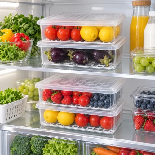 Sulfar Fridge Storage Boxes Fridge
