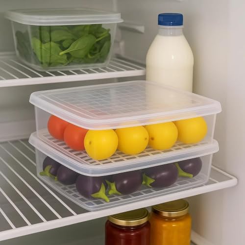 Sulfar Fridge Storage Boxes Fridge