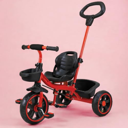 Lifelong Trike Cycle for Kids