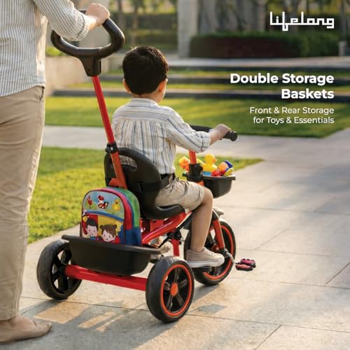Lifelong Trike Cycle for Kids