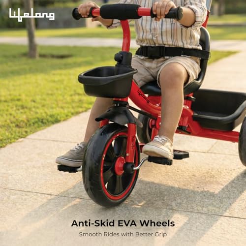 Lifelong Trike Cycle for Kids