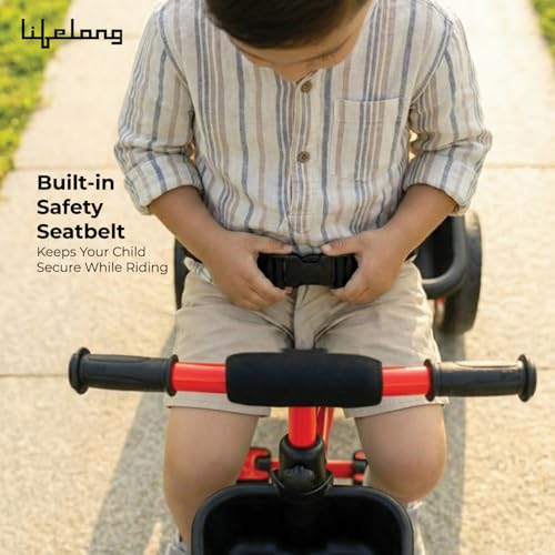 Lifelong Trike Cycle for Kids