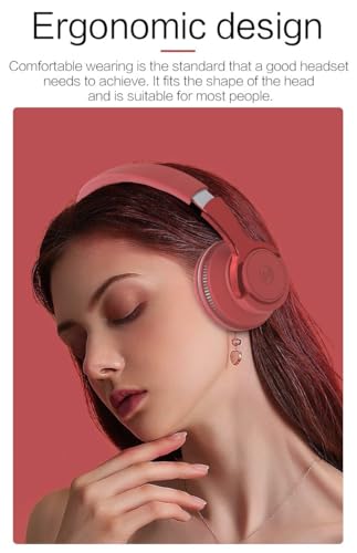 H2 Over Ear Headphones