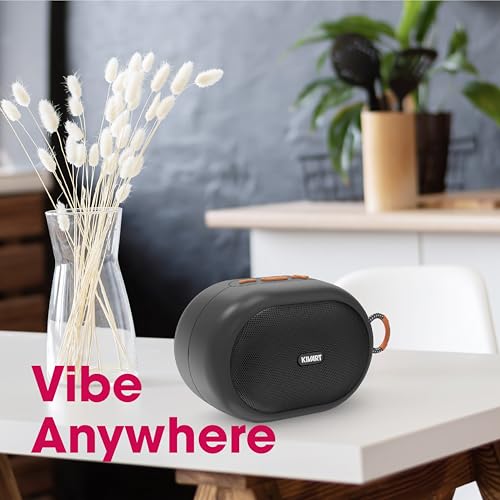 Vibe 8W Portable Bluetooth Speaker