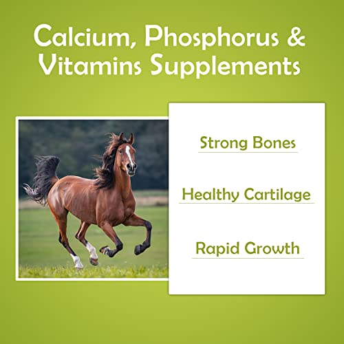 Calci-Horse - Calcium, Phosphorus &