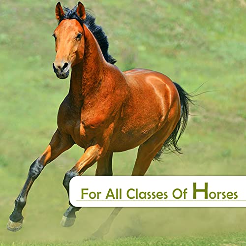 Calci-Horse - Calcium, Phosphorus &