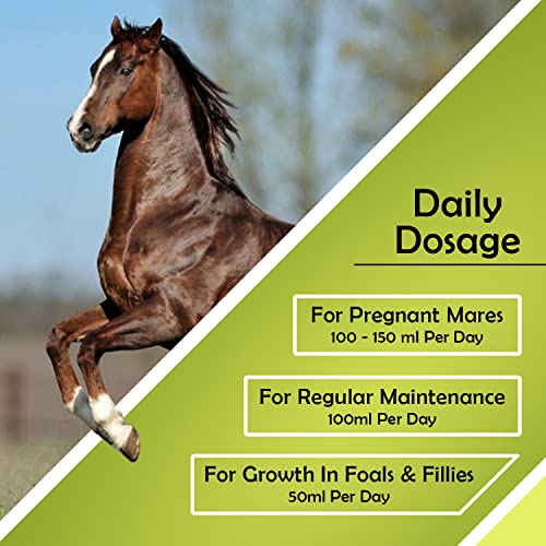 Calci-Horse - Calcium, Phosphorus &
