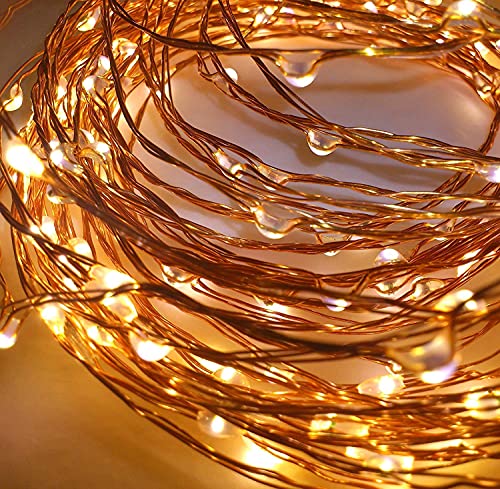 Desidiya 3AA Battery Powered Copper