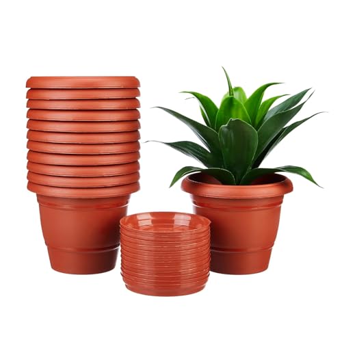 Amazon Brand - Solimo Round