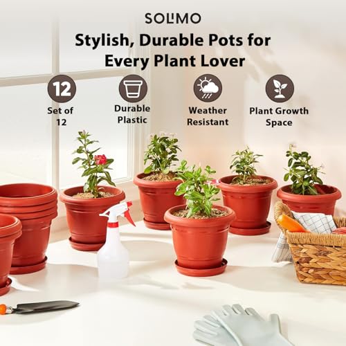 Amazon Brand - Solimo Round