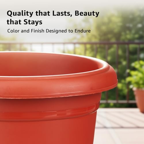 Amazon Brand - Solimo Round