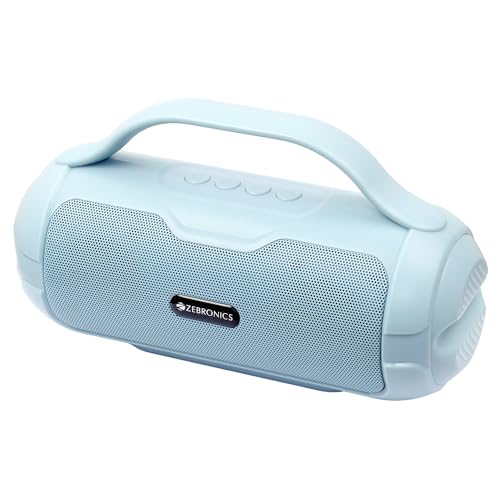 ZEBRONICS Sound Feast 40 Portable