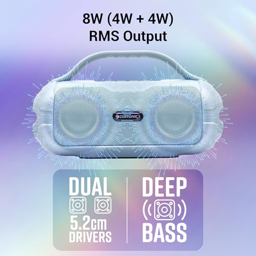 ZEBRONICS Sound Feast 40 Portable