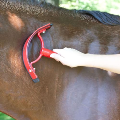 BLUHORSE Two-in-One Horse Sweat Scraper
