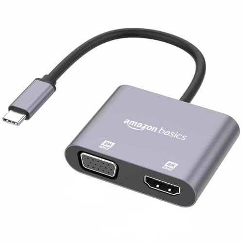 amazon basics 2-in-1 USB C