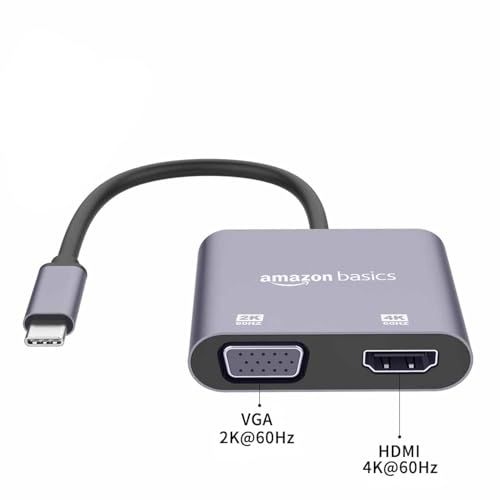 amazon basics 2-in-1 USB C