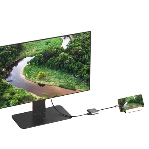 amazon basics 2-in-1 USB C